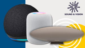 Kas nutiko išmaniajam garsiakalbiui?