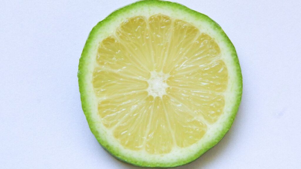 „LimeWire“ pristato AI maitinamą garso darbo stotį