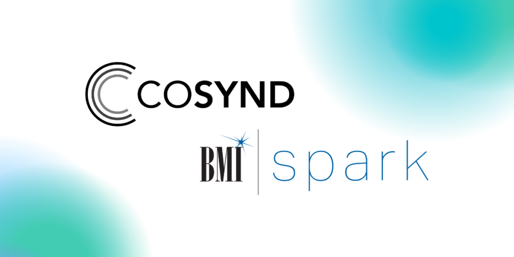 „Cosynd“ partneriai su KMI dėl autorių teisių apsaugos kūrėjams